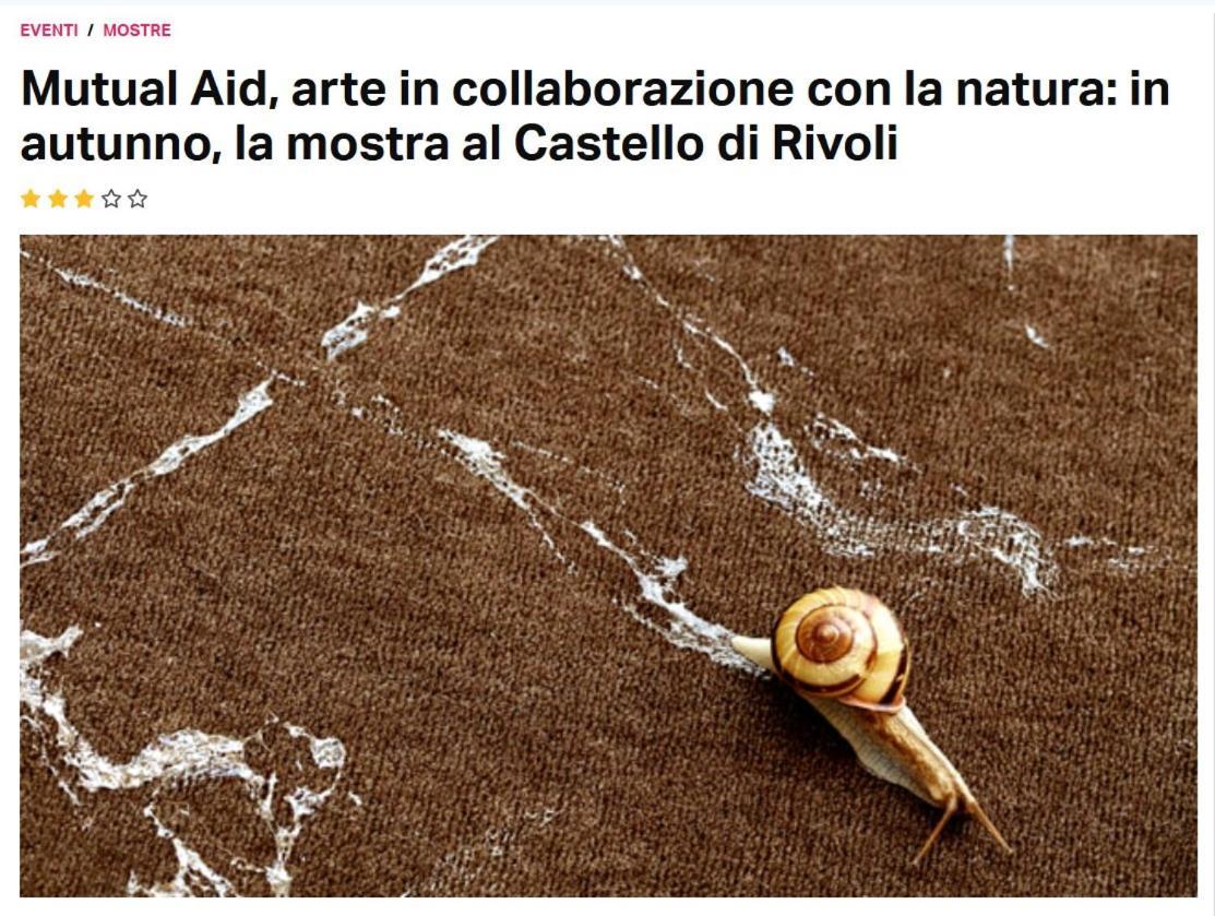 Appartement La Casa Di Silvio Ai Giardini Reali Turin